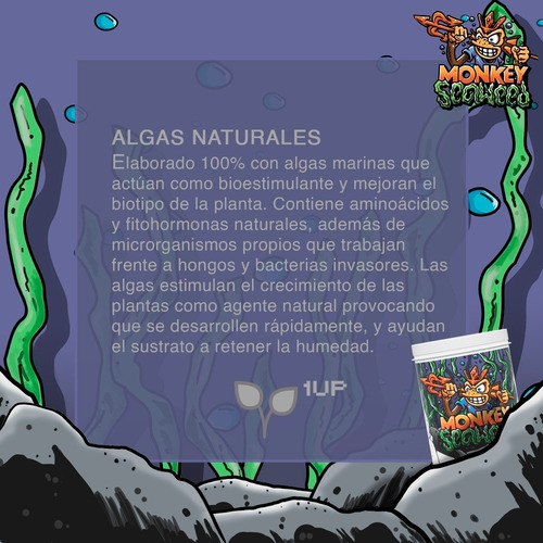 Imagen 2 de 4 de Algas Monkey Seaweed 500g Suelo Vivo
