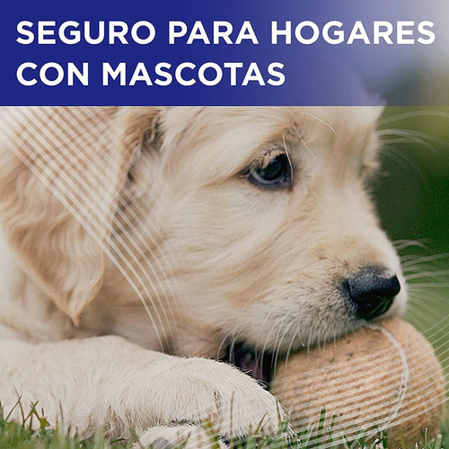Family Guard Desinfectante Superficies Y Ambientes Aerosol
