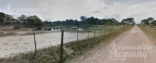 Imagen 5 de 7 de Terreno - El Palmar - Rocha