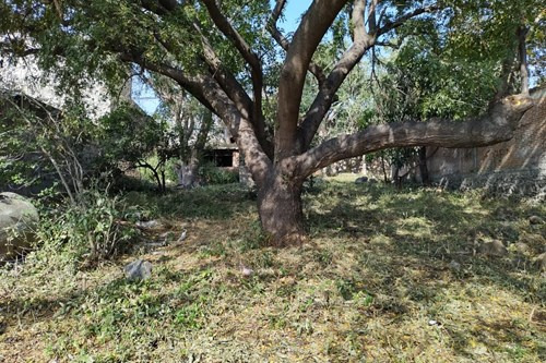 Terreno En Venta En Jiutepec