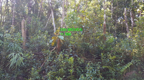 Imagem 7 de 19 de Juquitiba/terreno Com Mata E Nascente. - 05000 - 68089597