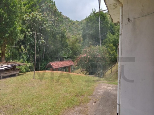Imagem 9 de 15 de Aconchegante Propriedade Apenas 2 Km Do Centro Do Barnabés Em Juquitiba/sp, Com Lindo Lago. - 402 - 69871849
