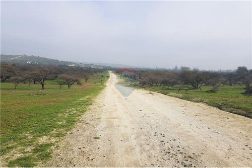Sector Los Laureles - Terreno En Limache 5000 Mt