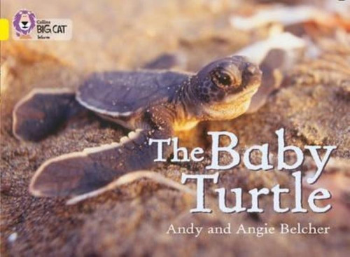 Thebaby Turtle - Big Cat 3 / Yellow