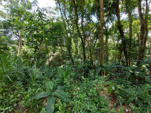 Imagem 9 de 14 de Terreno À Venda, 3235 M² Por R$ 180.000 - Parque Suiço - Mairiporã/sp - Te0832