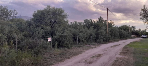 Imagen 3 de 11 de Terreno - Las Calles