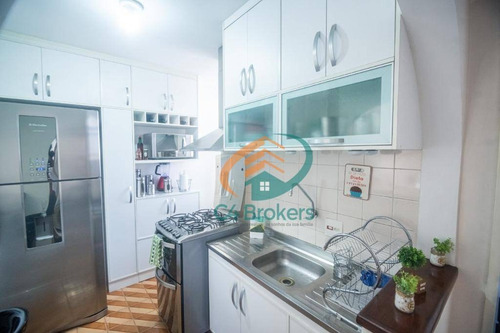 Apartamento Com 2 Dormitórios À Venda, 48 M² Por R$ 300.000,00 - Quinta Da Paineira - São Paulo/sp - Ap3604