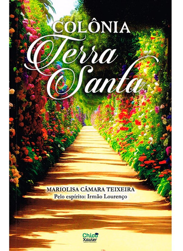 Colônia Terra Santa: Não Aplica, De Médium: Mariolisa Câmara Teixeira / Ditado Por: Irmão Lourenço. Aplica, Vol. Não Aplica. Editorial Edlecx, Capa Mole, Edição Não Aplica Em Português, 2024