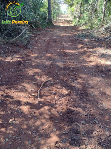 Imagem 3 de 9 de Fazenda À Venda Em Araguaína - To - 687,28 Hectares (dupla Aptidão) - 2109