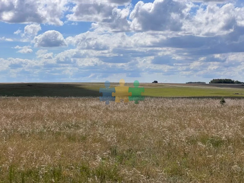 Campo En Durazno, 687 Hectáreas En Venta - Ref : Eqp6831