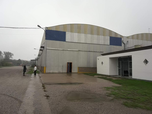 Galpón Industrial En Alquiler - Velez Sarsfield Al 4800