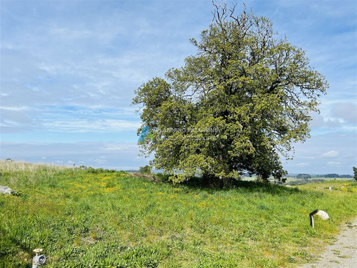 Parcelas En Venta Con Vista Al Lago Y Volcanes En Frutillar