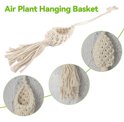 Cesta Colgante F8boho Macramé Air Plant Hanger Tillandsia Ro