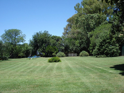 Imagen 5 de 23 de 1 Hectarea - Duggan - Con Casita - Pileta Y Arboleda