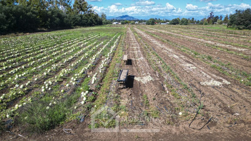 Predio De 87.8 Ha Con Derecho De Agua Y Acceso Asfaltado