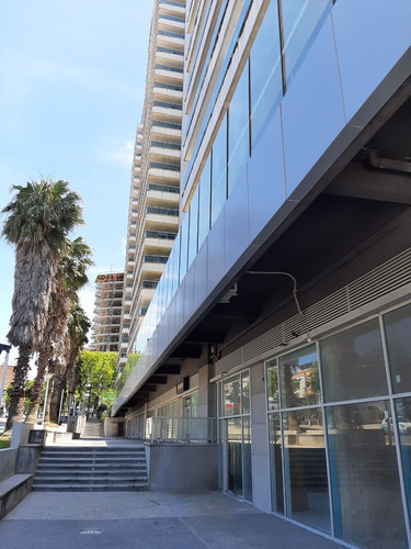 Imagen 2 de 14 de Venta Local Comercial En Buceo
