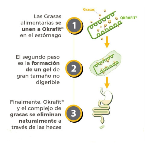 Imagen 3 de 3 de Okrafit 2 Meses + Envío Gratis