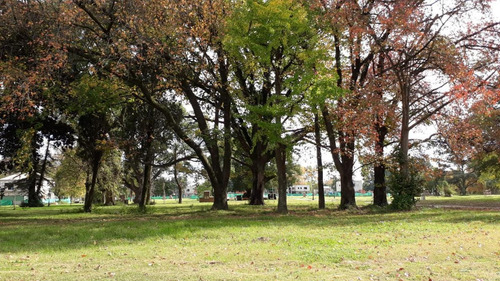 Imagen 6 de 23 de Terreno - Ingeniero Adolfo Sourdeaux