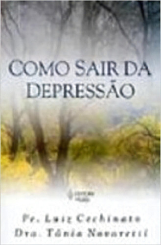 Como Sair Da Depressão: Os Diversos Estados Depressivos Vistos Clinicamente Por Uma Médica E Pastoralmente Por Um Padre, De Pe. Luiz Cechinato. Editora Vozes, Capa Mole Em Português