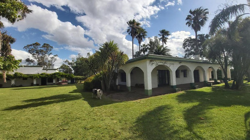 Imagen 2 de 30 de Venta Hermosa Chacra Haras Con Casco Y Mejoras En San Miguel Del Monte