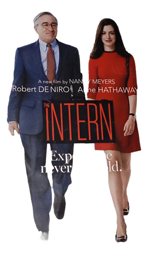 Pasante De Moda The Intern Pelicula Bluray (Usado)