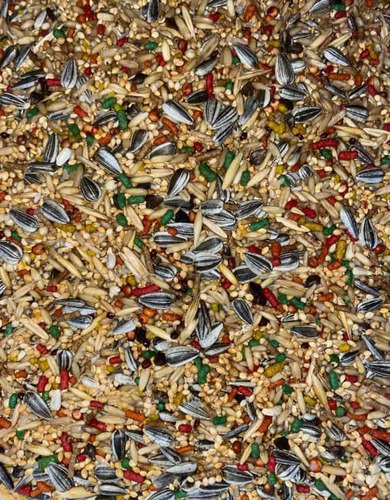 Calopsita Mix De 500g 1un. Sementes Ração Pets Aves Pássaros