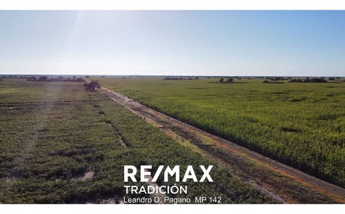 Campo En Venta -244ha Cabeza De Tigre, Sta Sylvina