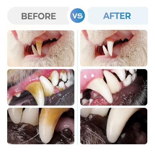 Cepillo De Dientes Para Mascotas 2025 Con Bolígrafo Y Gel Re