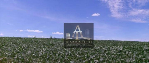 Imagem 10 de 26 de Excelente Fazenda Para Venda Na Cidade De Mogi Guaçu - Sp - Confira!!!! - Fa0025
