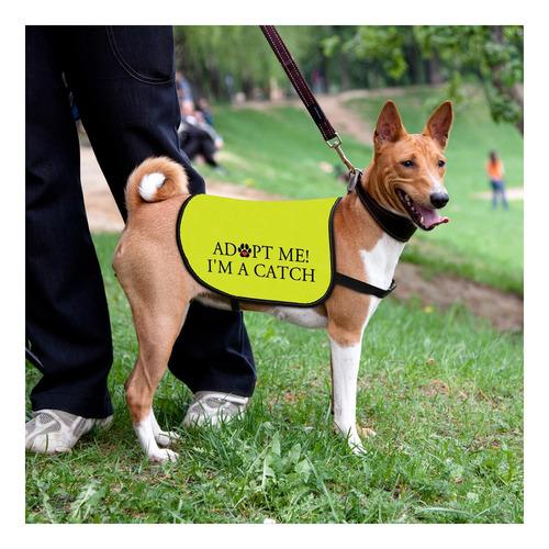 Chaleco De Chaqueta De Adopción De Perros Adoptar Me Soy Un Soy Un Capturado.