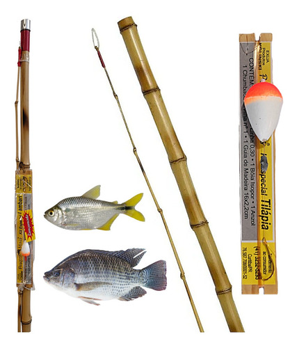 Vara De Bambu 2metros Com Pernada Para Pesca De Tilapia