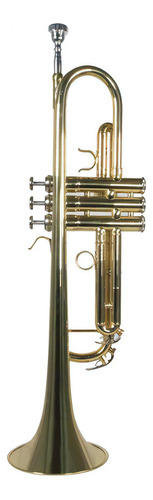 Trompeta Con Tonalidad Bb Laqueado Dorado Wesner Str1000-g