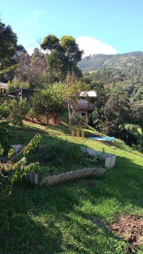 Imagem 8 de 18 de Excelente Chácara Em Santo Antonio Do Pinhal!!! 7km De Campos Do Jordão!!! - Ch0081