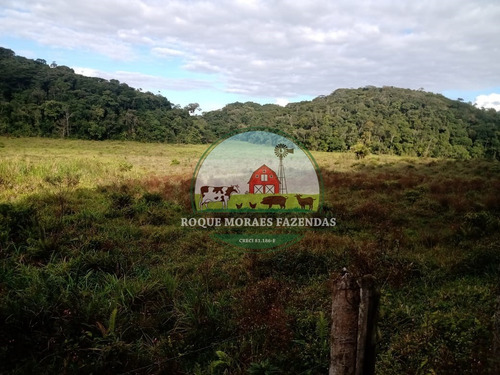 Imagem 12 de 20 de Fazenda À Venda Com 80 Alqueires Paulista No Vale Do Ribeira-sp Ref.: 0858