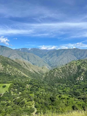 Lote y casalote en venta