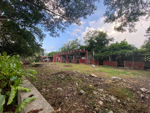 Imagen 28 de 30 de Hacienda En Venta En Yucatán Espectacular Con Lienzo - 80 Hectáreas