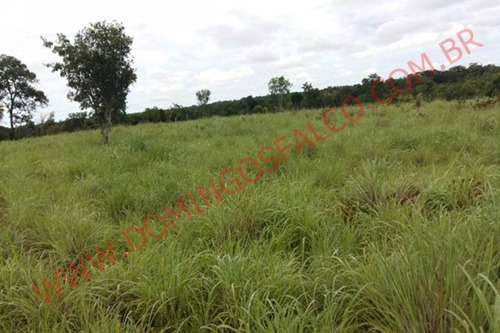Imagem 15 de 15 de Venda - Fazenda - Zona Rural - Divinópolis Do Tocantins - To - D4827