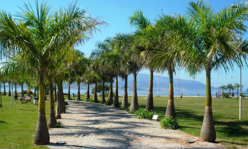 Imagem 13 de 19 de Apartamento Em Florianópolis - Sc - Sa0036_ccon