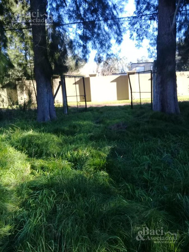 Chacra - Canning (ezeiza)