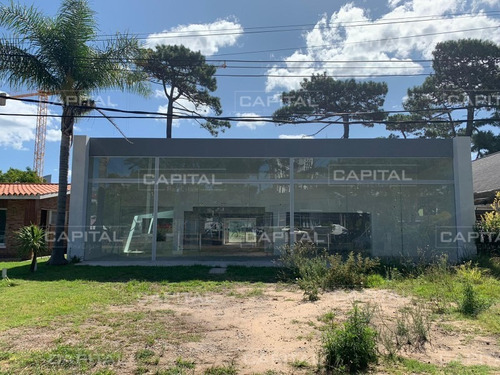 Local En Venta - Punta Del Este- Ref: 29026