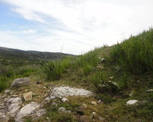 Imagen 3 de 14 de Quinta En Venta En Garzon