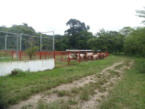 Imagen 18 de 30 de Finca En Venta San Felipe 1500 Ha, #23-14481