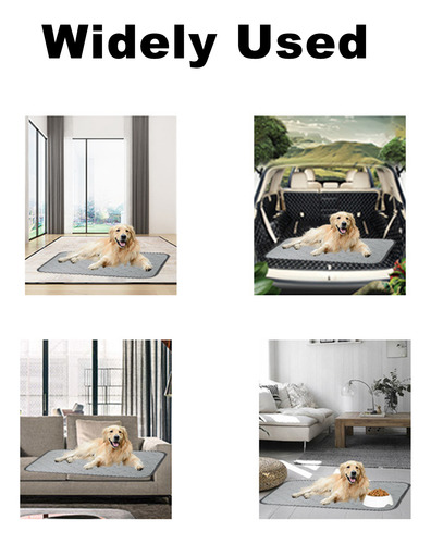 Almohadillas Lavables Para Orinar Perros, Reutilizables, Ant
