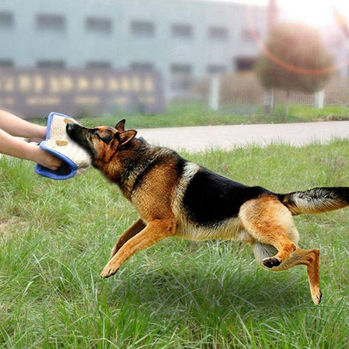 Hjq Almohadilla De Entrenamiento For Perros, Mangas Rojas