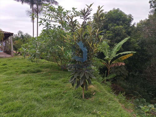 Imagem 14 de 19 de *** Chácara Com 06 Dormitórios Em Mairinque ***