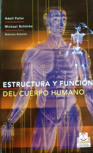 Estructura Y Funcion Del Cuerpo Humano