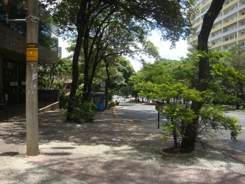 Imagem 3 de 16 de Loja Para Comprar No Savassi Em Belo Horizonte/mg - 1021