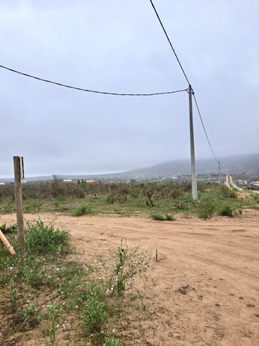 Terreno - A 10 Minutos De Playa Guanaqueros