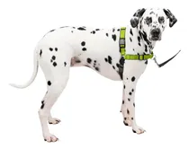 Comprar Arnés De Adiestramiento Con Anillo En D Para Perro Talla L
