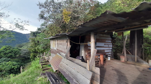 Se Vende Finca En Génova Quindío 